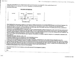 lady chadwick penn hip radiograph results 11-2016 - Chadwick's Goldens ...